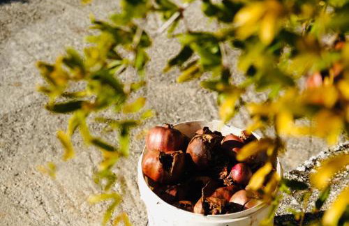 Villa Tonika - Photo 12