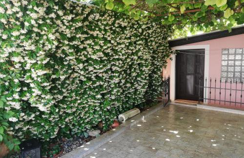 Apartments Vintijan - Foto 43