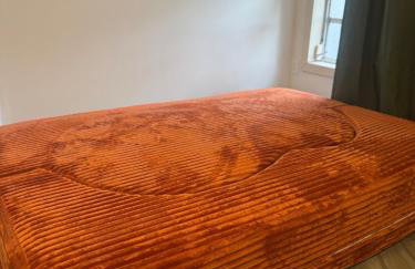 DeLand Dome House- 98 Inch TV - Open Kitchen - Near Bridle Oaks - Photo 35