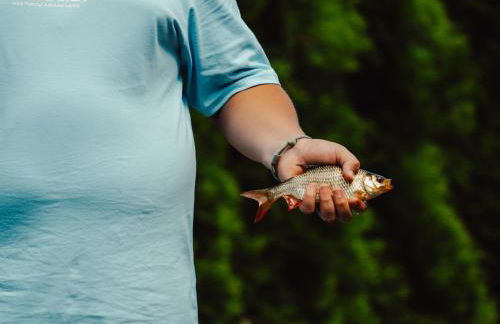 Natursee-Chalet,Spa mit Hot Tub,Jacuzzi,Sauna,Ponyhof,angeln - Photo 33