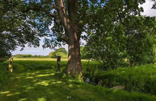 The Dairy, Birdham - Foto 25