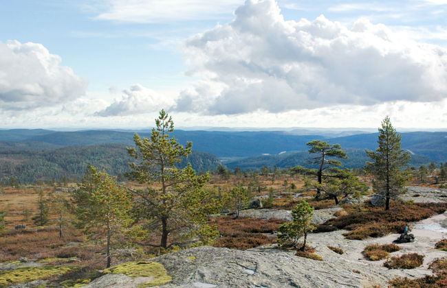 Skafjellstoga - Foto 22