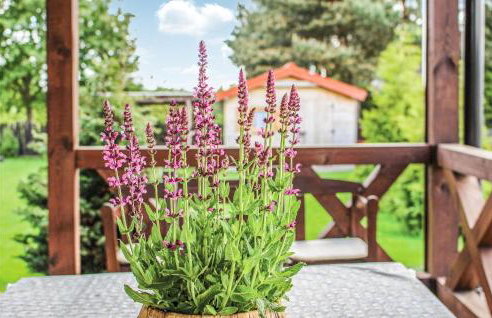 Holiday Home Jedwabno Burdag - Foto 16