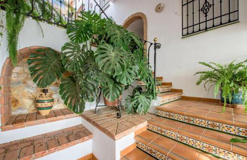 Rosamarina - Foto 67