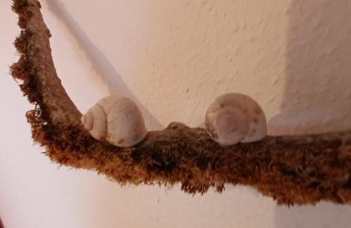 Seminar- & Gasthaus am Waldsee - Foto 3