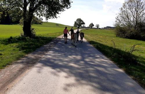 Rösslerhof Ferienwohnung Obstwiese - Photo 20