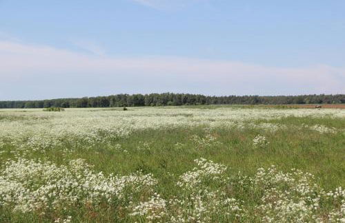 Haus "üm de Eck" - Die Kapitänswohnung - Foto 43