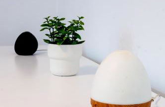 Natura punta - Photo 23