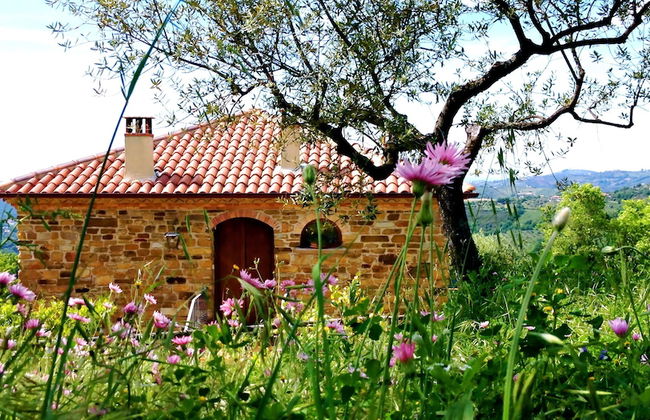 Country House Villa Nigro - Foto 56