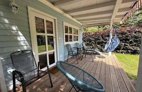 Kwiat Paproci - Foto 50