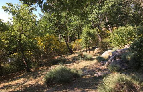 Villa de Carbonelle - Foto 42