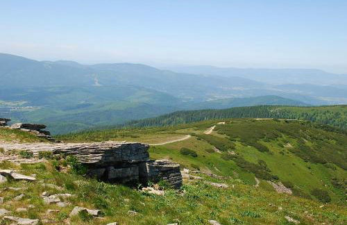 Bale na Skale Chata & SPA-Zawoja - Foto 67