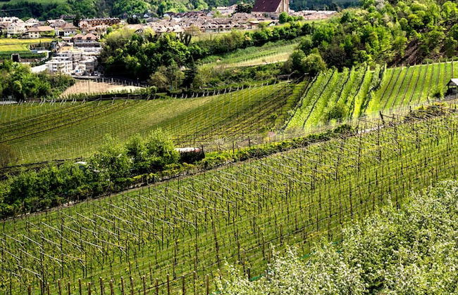 Belia Lofts - ADULTS ONLY - Apartments - Foto 53