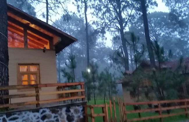 Cabanas Los Abuelos - Foto 14