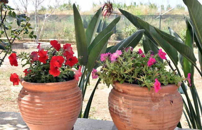 House Near Balos in Kissamos - Foto 34