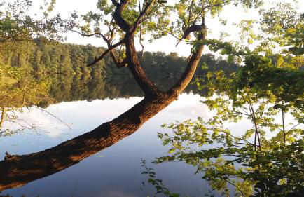 Sidowseetraum - Foto 41