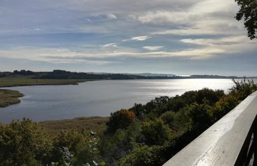 Sellin - Seedorf Am Neuensiener See Apartment 08 - Foto 40