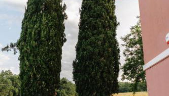 Il Casale delle Rose - Foto 2