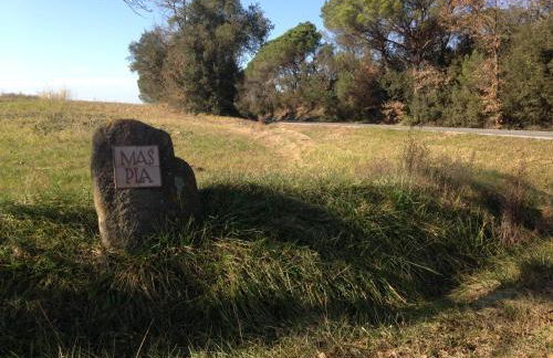 El Mas Pla - Foto 45