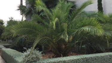 Loft with terrace 24m2, swimming pool and garage - Foto 2, Garden view