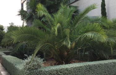 Loft with terrace 24m2, swimming pool and garage - Foto 2