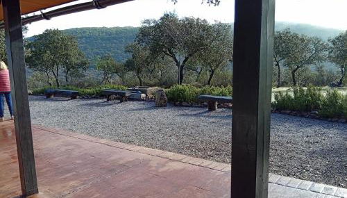 Finca Las Victorias - Foto 5