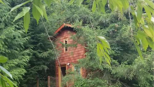 Large Estate Venue 2 hot tubs 2 treehouses - Foto 2
