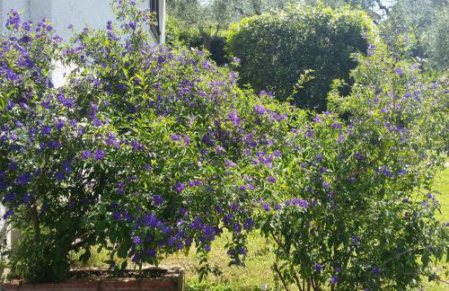 Casa Vittoria - Foto 38