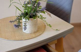 Kleiner Fuchs - Foto 11