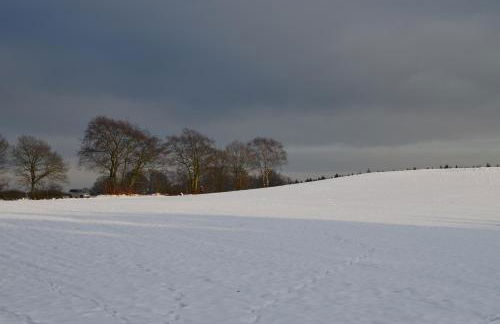 Ferienhaus Wildblick - Foto 21