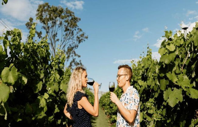 Escursione enologica di un'intera giornata al Monte Tamborine da Brisbane - Foto 6