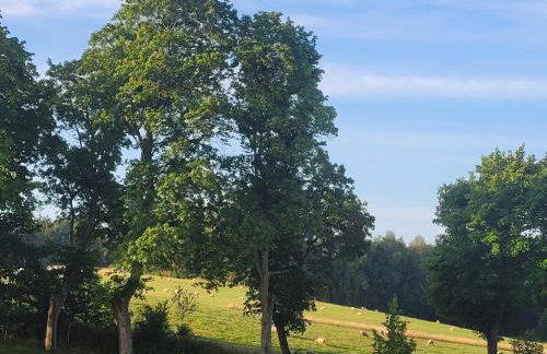 Dzika Warmia- Retreat in the Wild - Foto 30