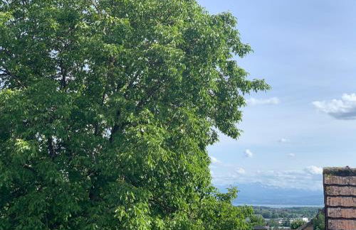 Apartment Wanderglück am Gehrenberg - Foto 13