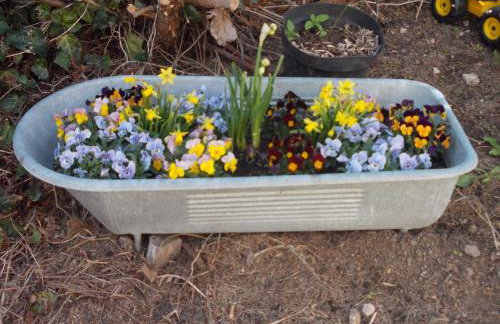 Ferienwohnung Neubert - Foto 15