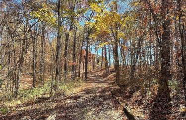 Breath of Heaven Cabin- Hot Tub, Deck, Pond, PETS - Foto 30