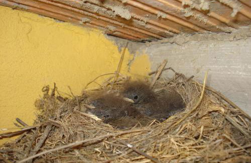 Casa Rural Atalaya House - Foto 53