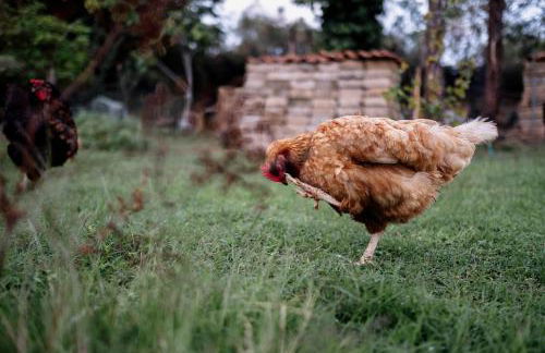 La Casa Dei Fiori - Foto 27