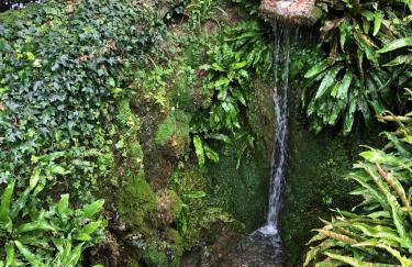 The Annexe at Fishponds - Photo 37