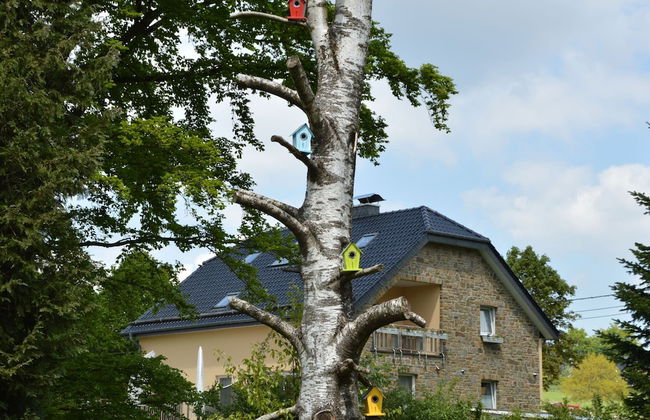 Cosy Holiday Home With Sauna, Terrace - Foto 34