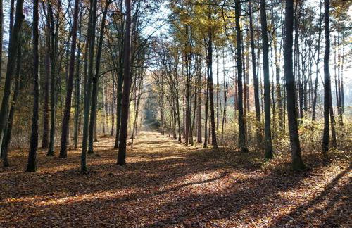 Villa Paula Pluski - Foto 33