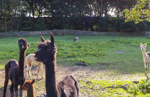 The Old Piggery - Foto 24