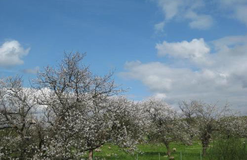 Gite De La Balle De Golf - Foto 13