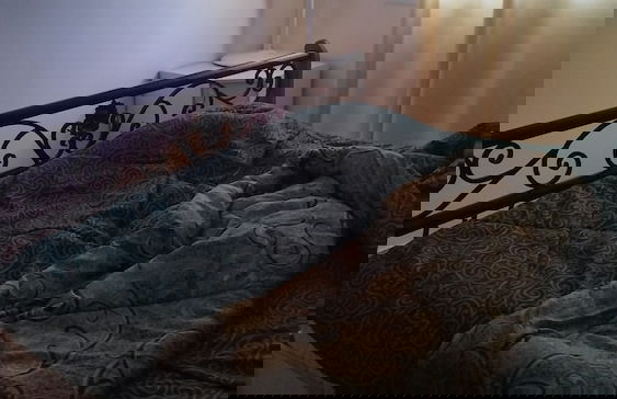 Olive Palace Restaurant and Lounge - Foto 3