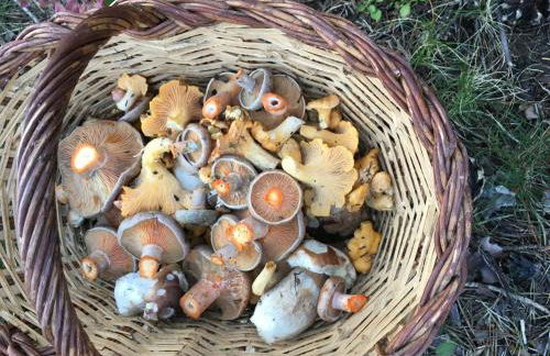 Casa en la Molina - Foto 53