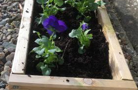 Rose Cottage - Foto 25