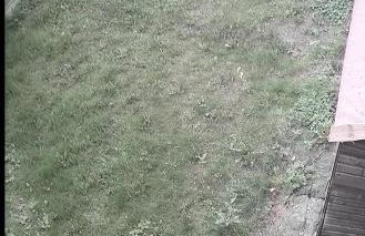 GARDNER HOLIDAYS HOUSE - Photo 34