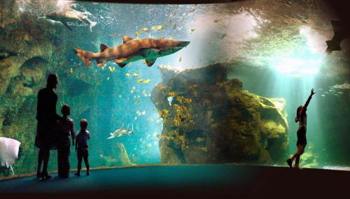 Luxury Villa in France with Pool and Garden - Foto 5