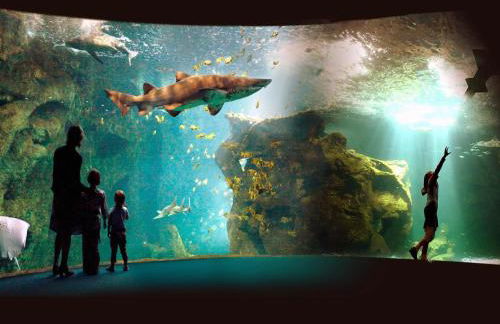 Luxury Villa in France with Pool and Garden - Foto 5