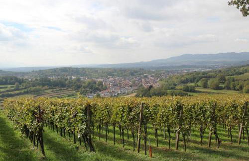 Ferienwohnung Elfriede - WLAN, 2 Bäder, Küche, Freisitz, 2 Parkplätze, im Ortskern - Foto 42