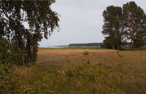 Boddenperle - Foto 9